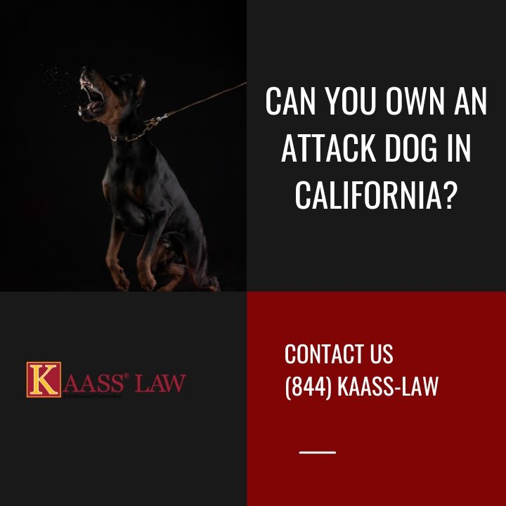 Can You Own an Attack Dog in California?