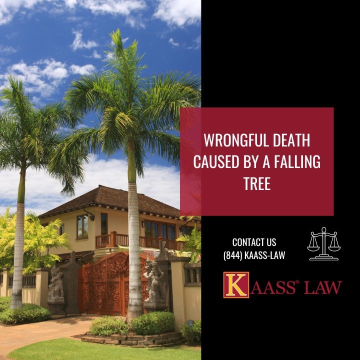 Wrongful Death Caused by a Falling Tree