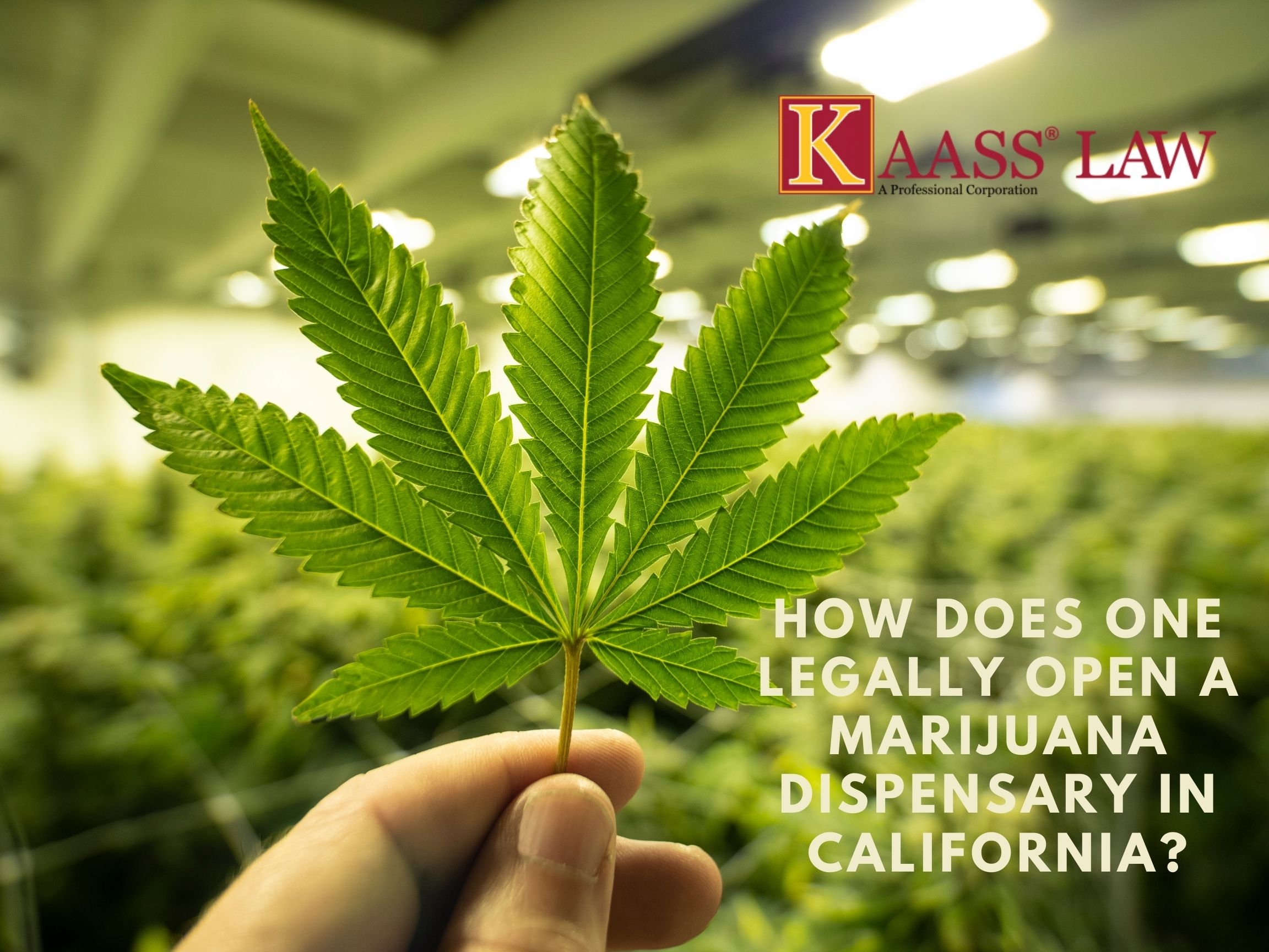 Legally Opening a Marijuana Dispensary in California