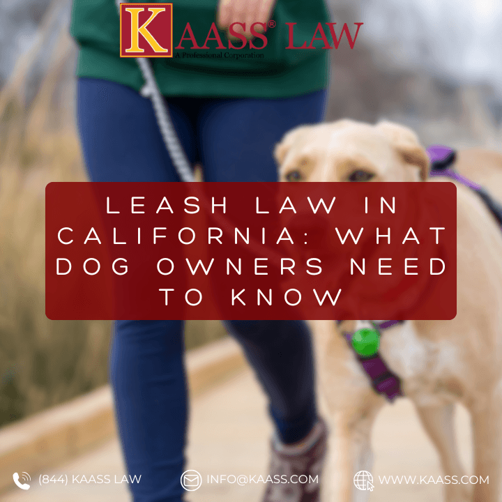 Leash Law in California: What Dog Owners Need to Know