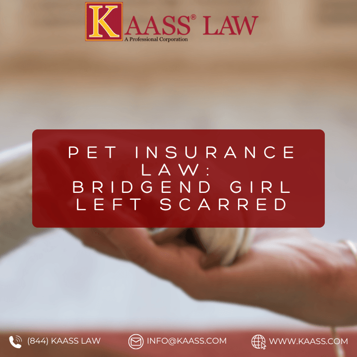 Pet Insurance Law: Bridgend Girl Left Scarred