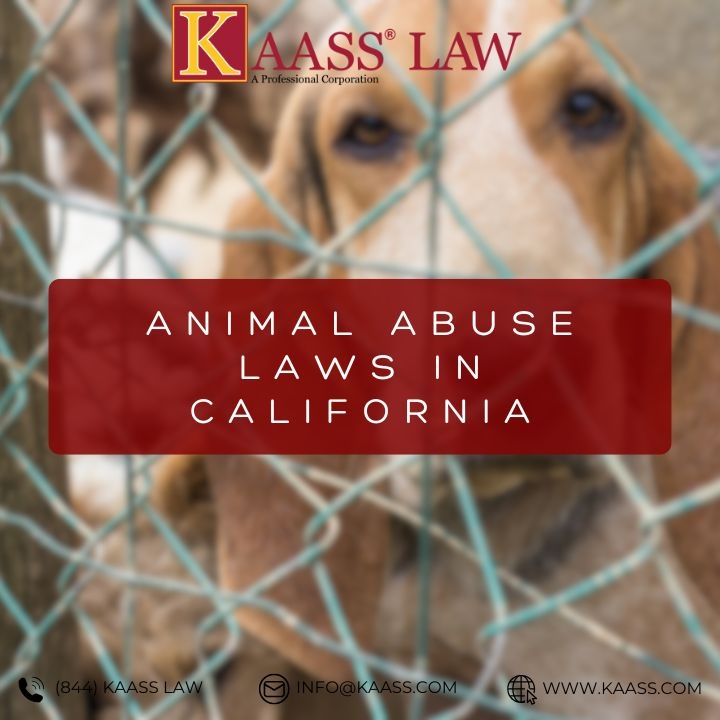 Animal Abuse Laws in California