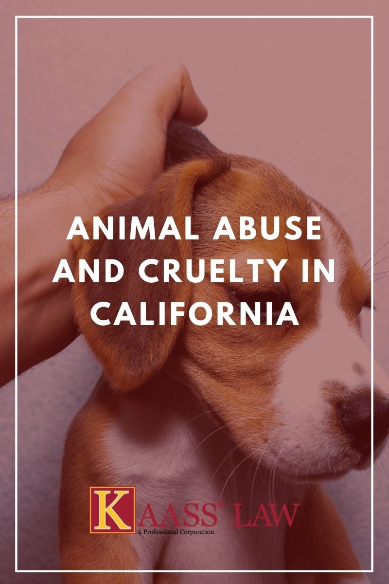 Animal Abuse and Cruelty in California