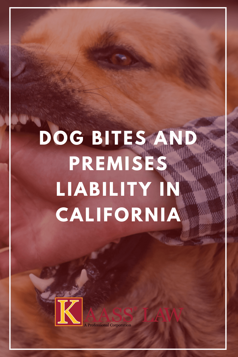 Dog Bites and Premises Liability in California