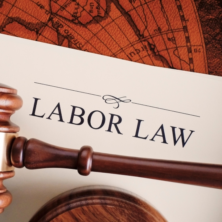 What Is the Labor Condition Application?