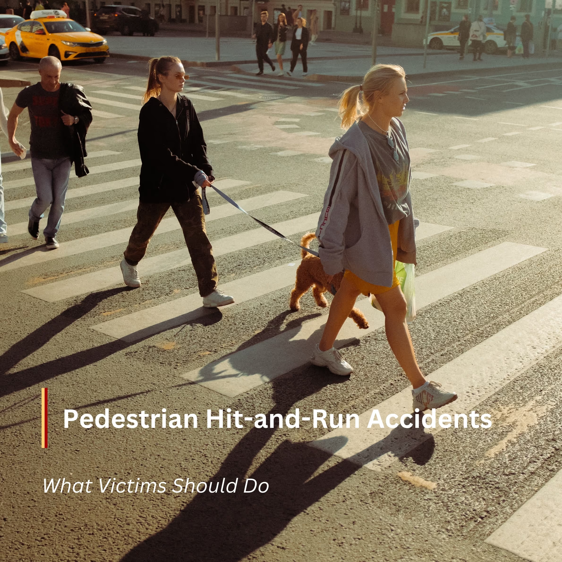 Pedestrian hit-and-run accidents