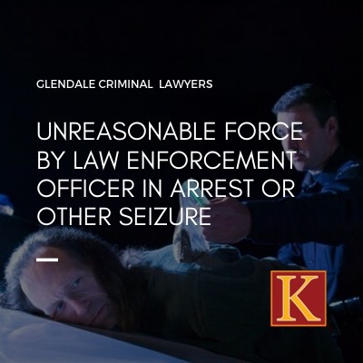 Unreasonable Force by Law Enforcement Officer in Arrest or Other Seizure