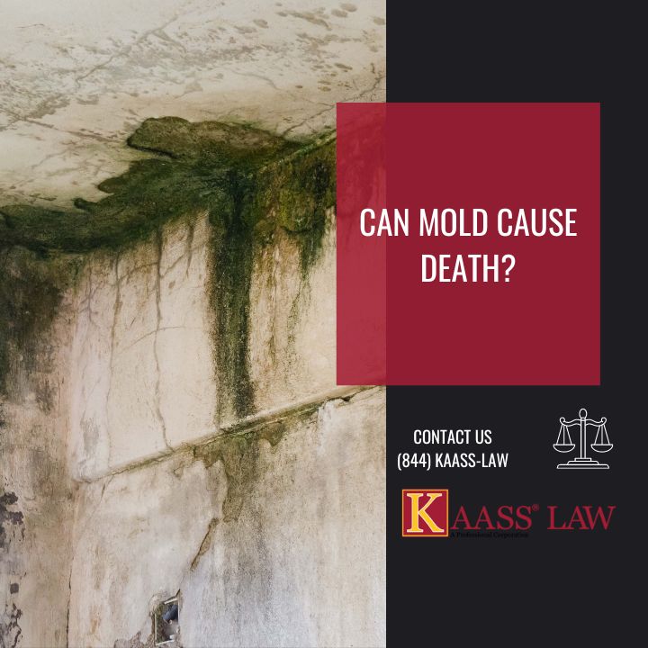 Can Mold Poisoning Cause Death? KAASS LAW